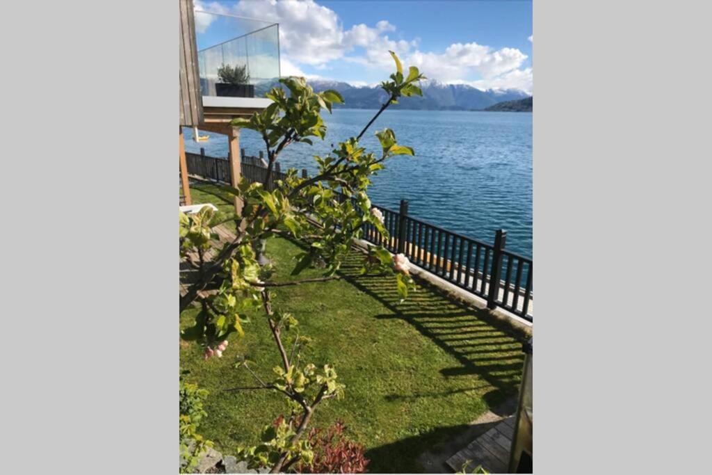 Panoramaresort In Hardangerfjorden Leilighet I Sjokanten Ved Hardangerfjorden For 7 Personer Boat , Sauna,Kajak, Sup For Rent Øystese Εξωτερικό φωτογραφία